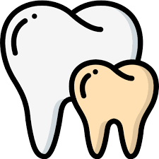 Wisdom Tooth